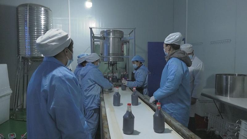 安龙首家调味品厂投入生产